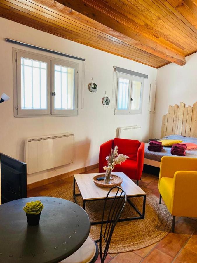 Studio Ile De La Barthelasse A Deux Pas Du Centre أفينيون المظهر الخارجي الصورة