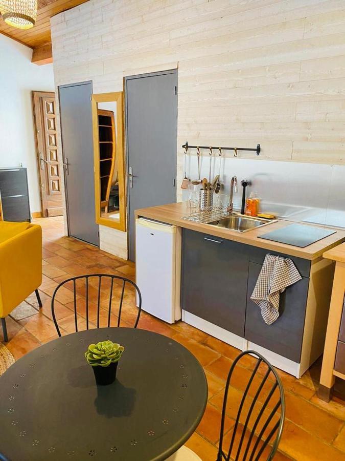 Studio Ile De La Barthelasse A Deux Pas Du Centre أفينيون المظهر الخارجي الصورة
